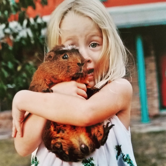 Magick Pixie Dust - Picture 2 of 6